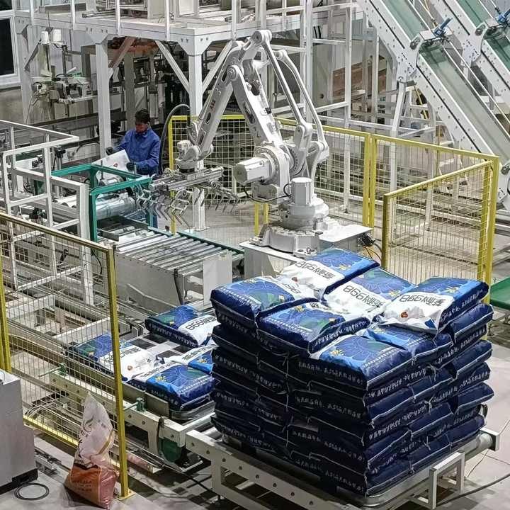 Robot xếp hàng lên pallet 2 Robot xếp hàng lên pallet