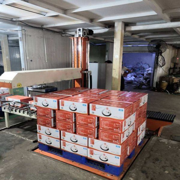 Máy xếp hàng tự động lên pallet – phù hợp hộp, túi, thùng carton